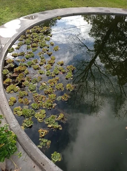 Jardín Marco Hurlingham