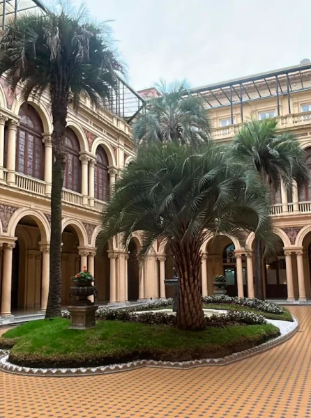 Proyecto Patio de Palmeras Casa Rosada
