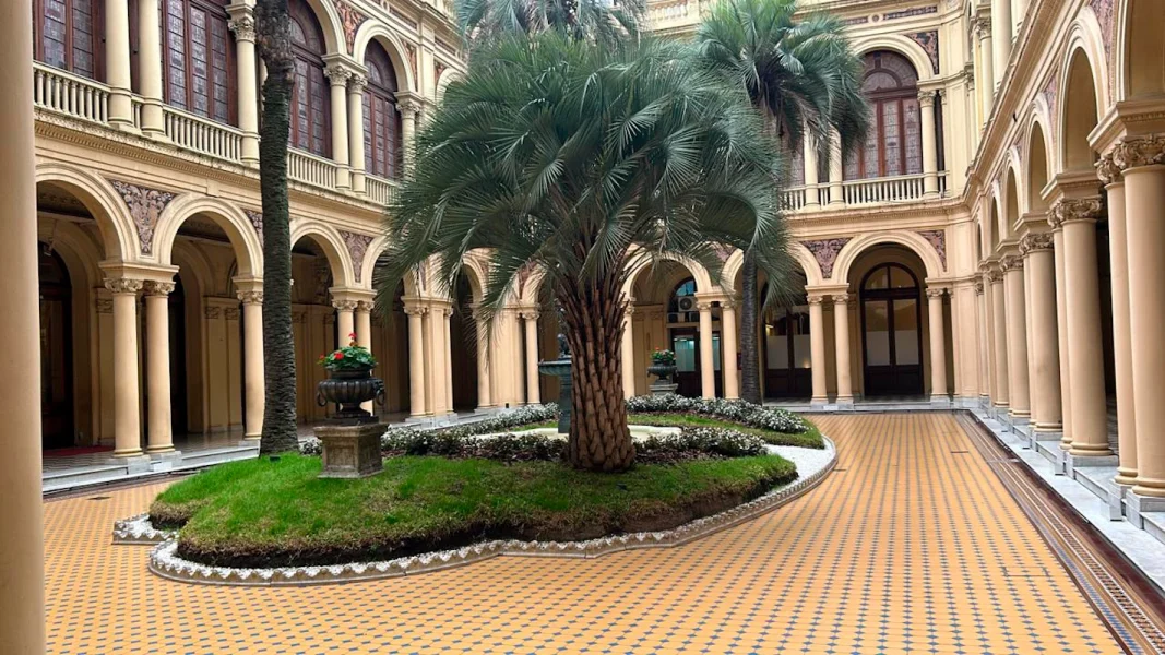 Proyecto Patio de Palmeras Casa Rosada
