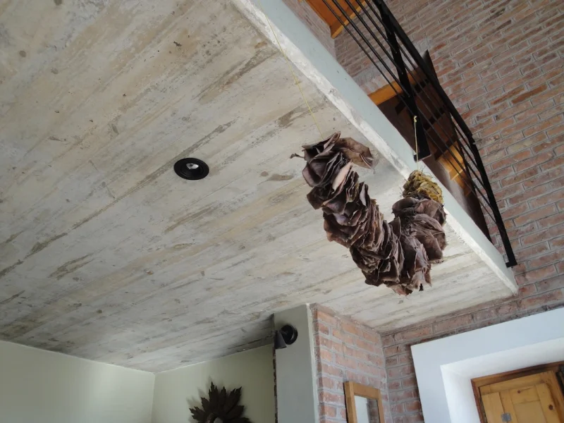 Proyecto Casa Ricchieri Hurlingham